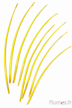 Gans schacht - 25-30 cm - geel